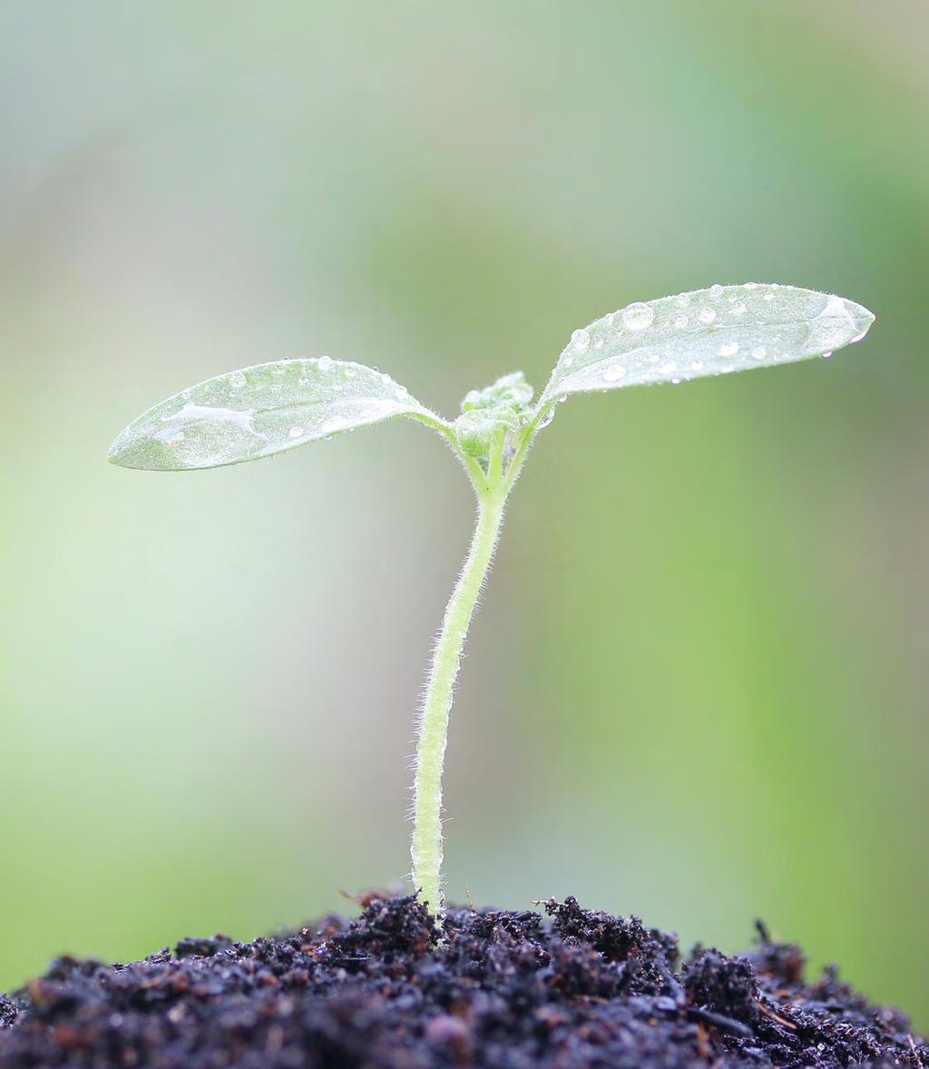 SDS-rubriek 12 Ecologische informatie DE BELANGRIJKSTE PUNTEN Rubriek 12 verstrekt beknopte informatie over: de milieueffecten van de chemische stof wanneer deze vrijkomt in het milieu; wat er met de