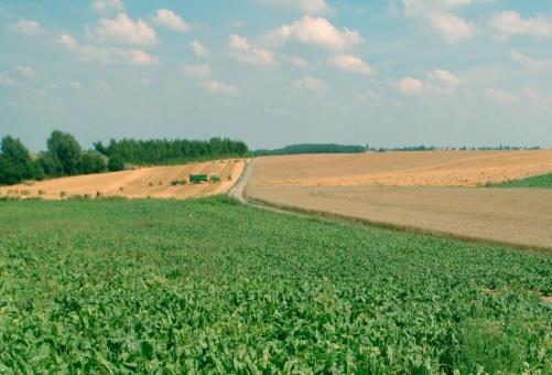 Immers, wie fytoproducten in bezit heeft en gebruikt moet een fytolicentie hebben zoniet kan er geen Vegaplan/sectorgidscertificaat afgeleverd worden.