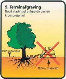 Boombescherming afbeelding 1-2-3 Bomen op een werkterrein dienen zodanig met geschikte materialen beschermd te worden (niet- verplaatsbare bouwhekken,