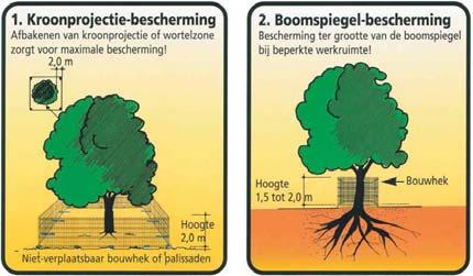 Vooruitlopend op bouw-/sloopactiviteiten moeten de te handhaven bomen met de werkelijke kroonprojectie op tekening staan aangegeven. 2.