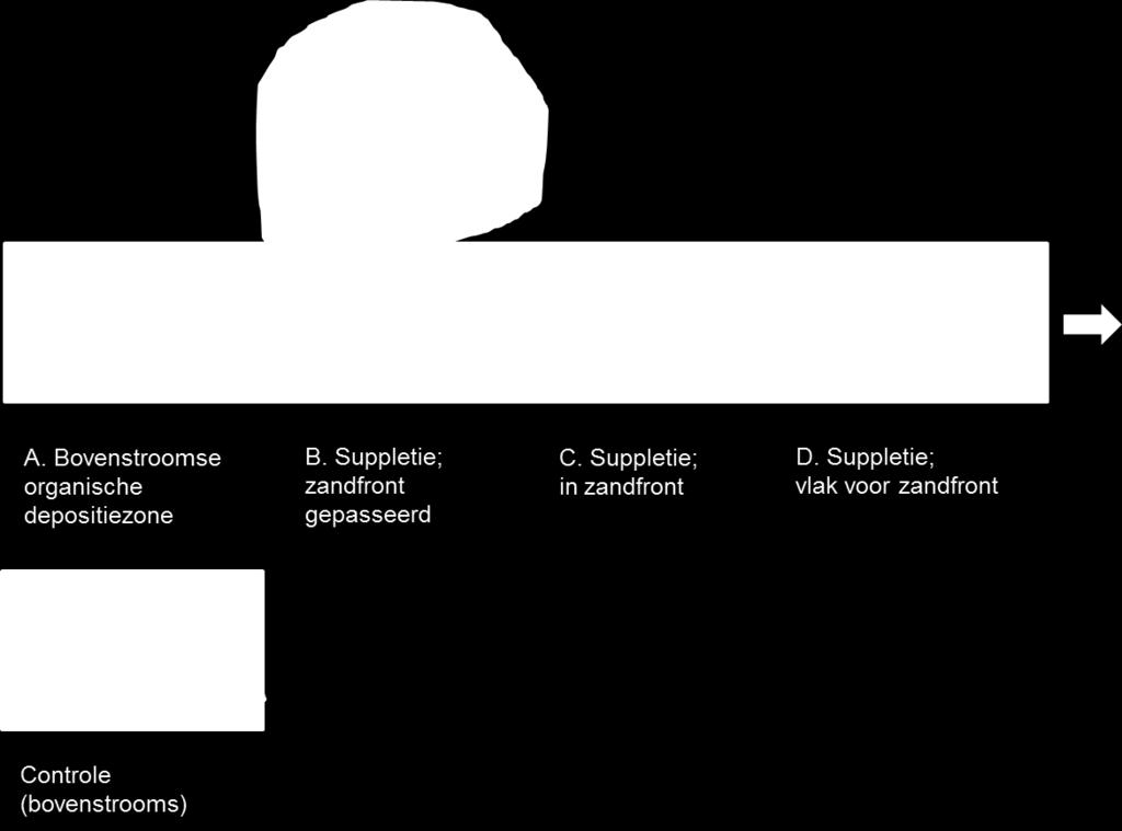 Figuur 3: Schematisch overzicht van de monsterposities op een suppletielocatie met de bijbehorende substraattypen. 3. Resultaten en discussie 3.