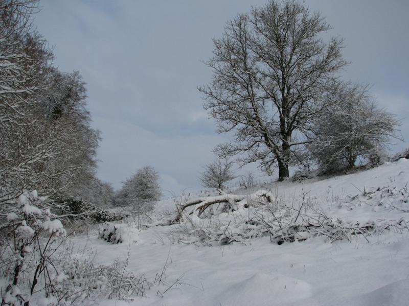 De heuvel achter de