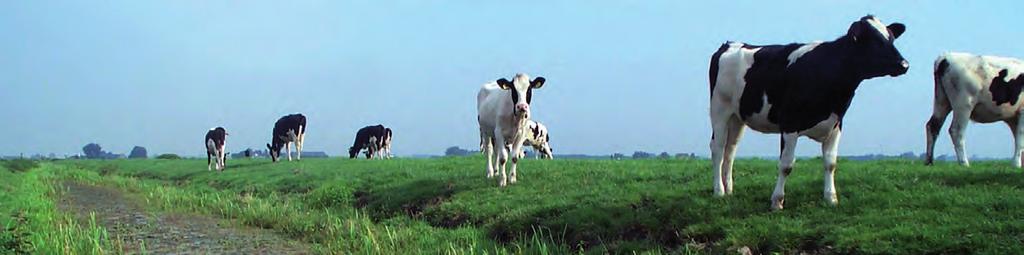 Validatie van PLEASE op regionale schaal Fosfaatbelasting