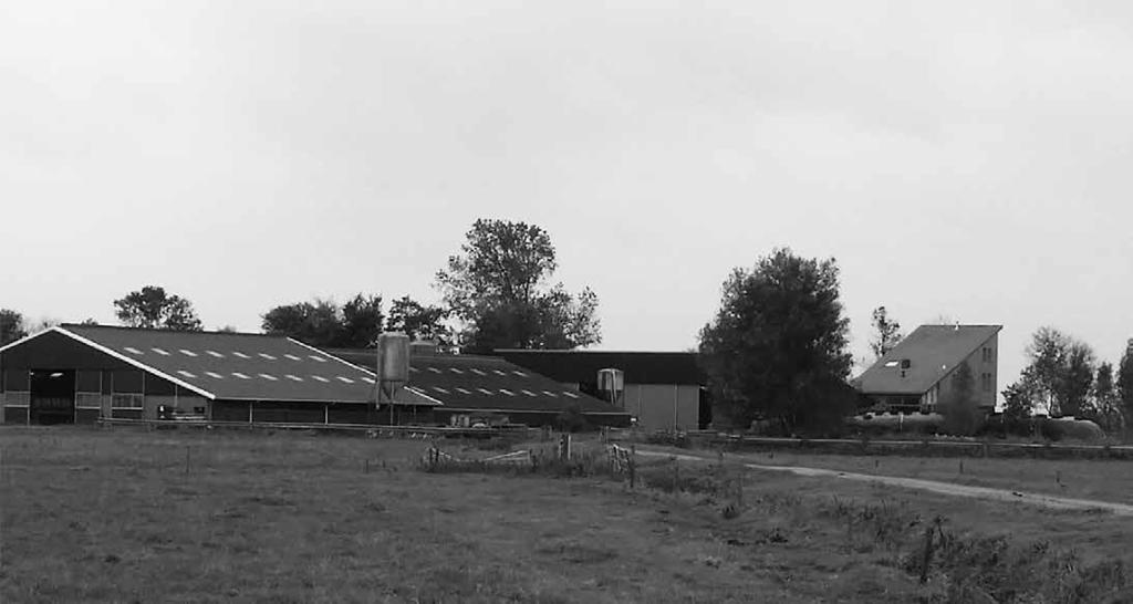 Bedrijfsbezoek Fam. Peenstra We zijn op bezoek bij de Familie Peenstra, wonend op de boerderij aan de Oebele Om Wei te Warten.