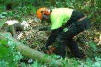 Bij het betreden van het bos ziet Jan paddenstoelen die perfect bij zijn gegrilde biefstuk zouden passen. Mag hij deze plukken?