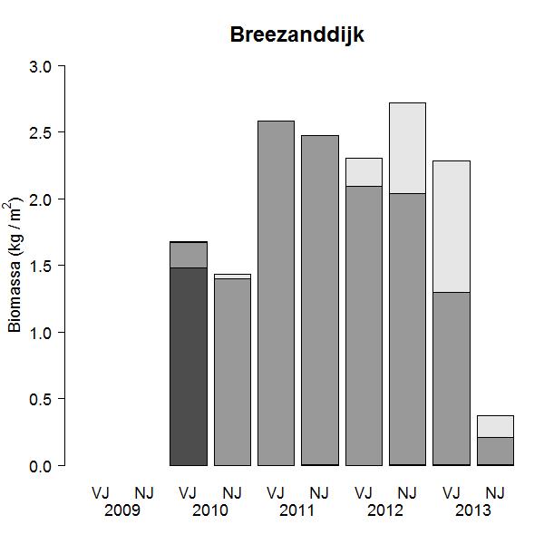 Figuur 7. Trend in gemiddelde mosselpopulatiesamenstelling voor de mosselbank gelegen bij de Vlieter, Breezanddijk, Javaruggen en Molenrak gemeten zuigkor.