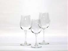 Glas voor witte wijn 19cl 0,15