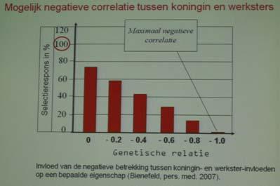 koningin en de werksters kunnen negatief gecorreleerd zijn [wat bij niet uit elkaar halen de