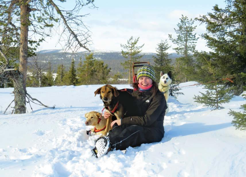 Vapaaehtoisena huskyfarmilla 13 Viime vuonna olin kahden kuukauden ajan vapaaehtoistöissä huskyfarmilla Suomen Lapissa. Ensimmäisenä päivänä tutustuin omistajiin.