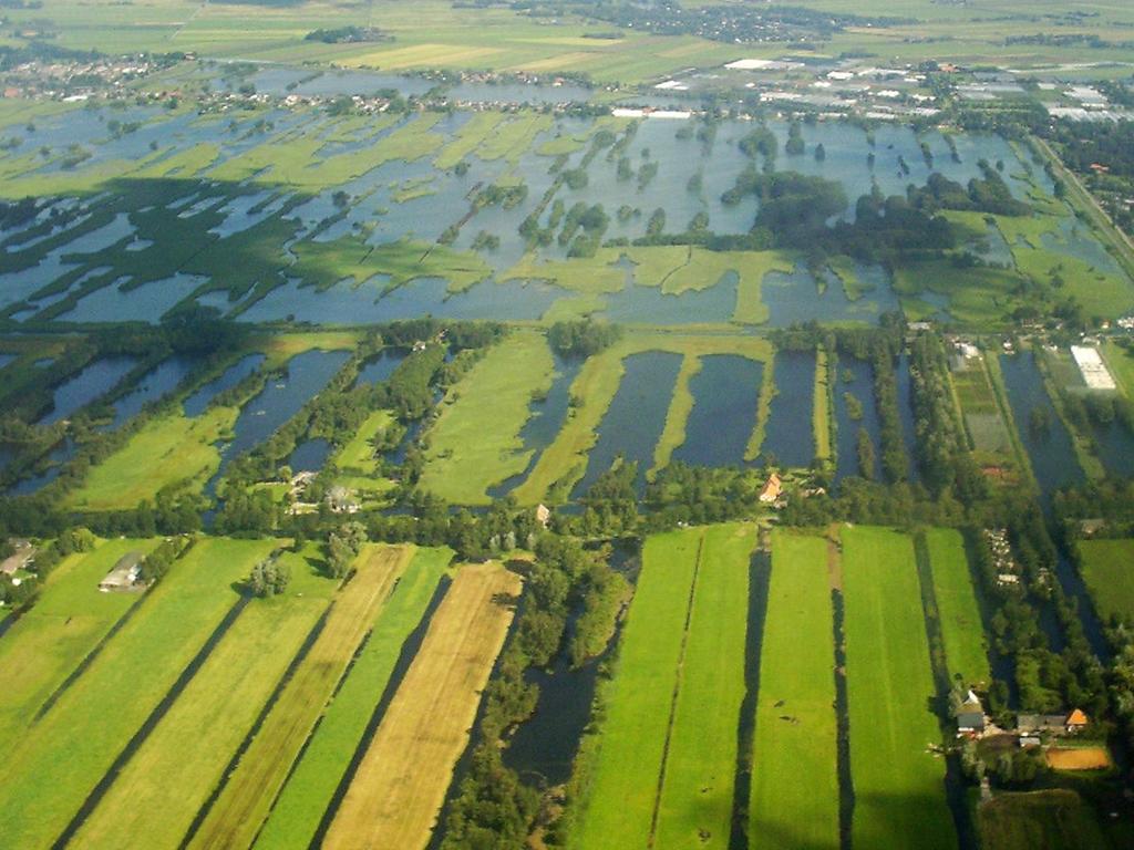 ECONOMISCH RENDABELE LANDBOUW Een economisch rendabele landbouw houdt het landschap van het Groene Hart Noord vitaal.