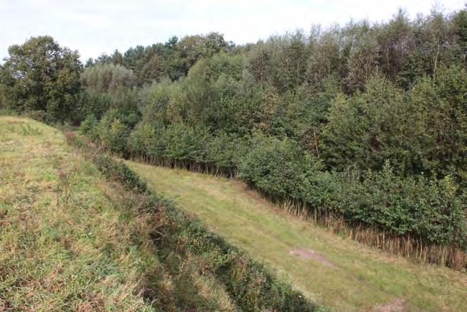 3 Ontwikkeling en beheer van de hermeanderde Witte Nete Na de aanleg werd de hermeanderde loop overgedragen aan de Provincie Antwerpen en wordt het beheer uitgevoerd door de Dienst Integraal