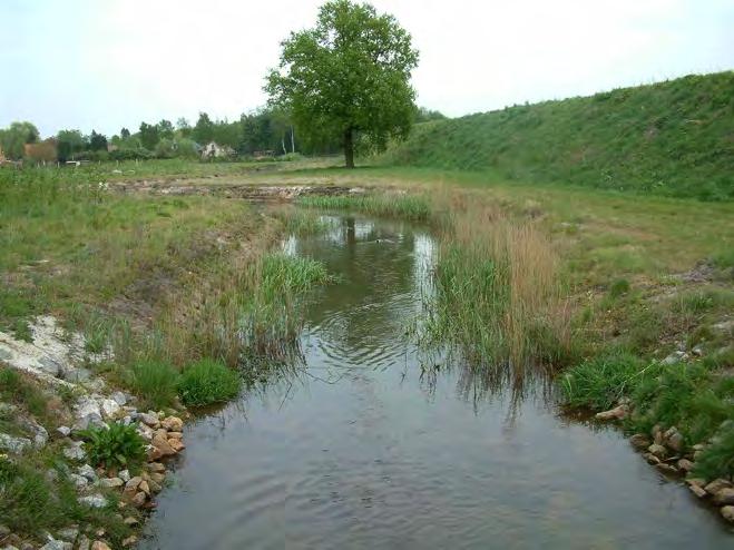 Tijdens de opvolging van het project werd vastgesteld dat de grens tussen de oeverzone en de droge natuurzone als een scherpe grens door het landschap loopt.