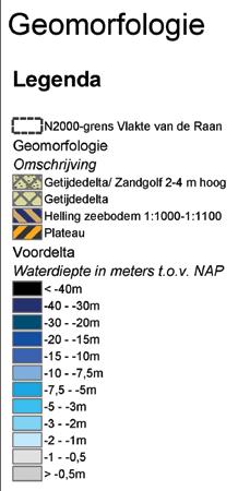 Ze lijken op duinen onder water. Figuur 2.2 Geomorfologie Vlakte van de Raan (www.noordzeeatlas.nl) Het water in de Vlakte van de Raan bestaat voor 5 tot 15 % uit rivierwater (figuur 2.3).