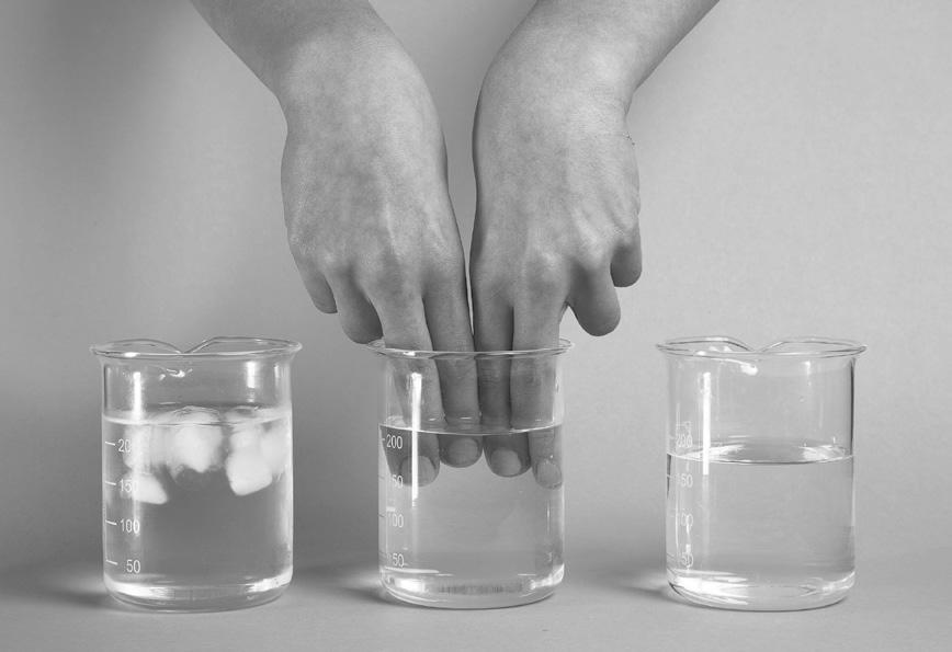 WAT HEB JE NODIG? een bekerglas met water op kamertemperatuur (ongeveer 20 C) een bekerglas met ijswater (ongeveer 0 C) een bekerglas met warm water (ongeveer 40 C) WAT MOET JE DOEN?