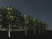 Ontwerpgids voor boomverlichting De allround reflectors die met Decoflood² worden meegeleverd, zijn uitermate geschikt voor boomverlichting.
