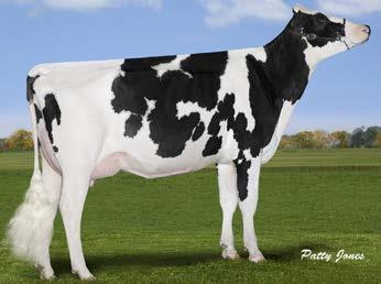 05 / $ 686 DE 4/17 RZG 150 #1 GTPI ROODBONTE koe van het ras!! / #1 GTPI R&W cow in the breed Moeder van de populair RF stiervader SALVATORE!
