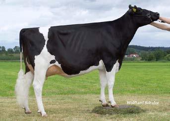 Volle zus van: / Full sister to: Arethusa Affection EX-92-USA - 1st World Dairy Expo 09, dam to Fever Almira EX-92-1st Sr. 2yr.