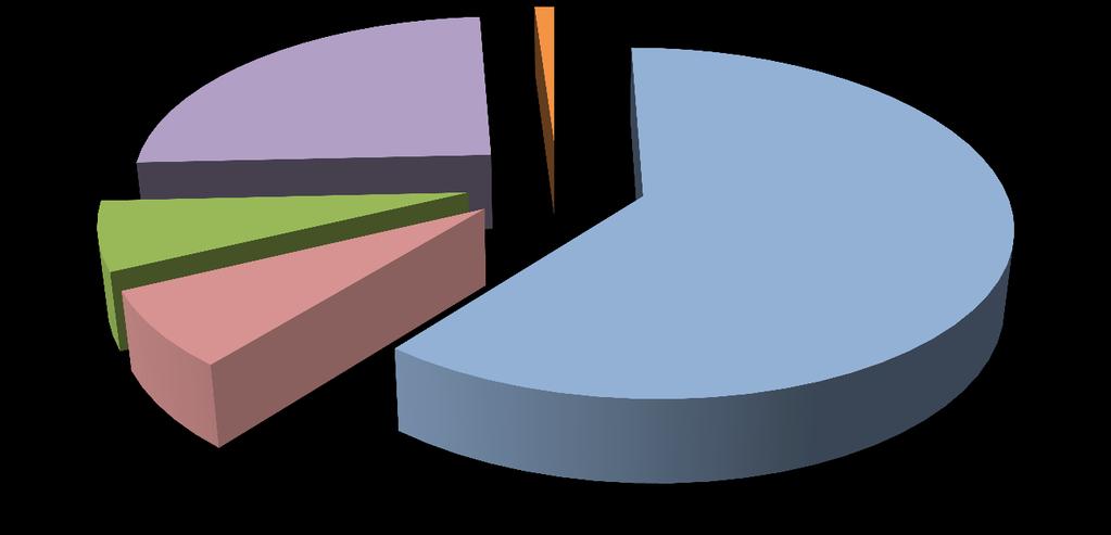 Aankomsten naar logiestype - 2015 Aankomsten: 115 328 jeugdlogies 28 507 24,7% huurvakantiewoningen + vakantielogies 1 193