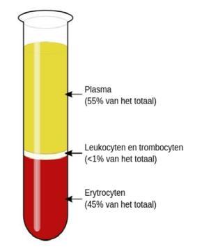 Fractional abundance (%) Fractional abundance (%) 9-4-2017 Mutatie testen UMCG FFPE-biopten met >2% neoplastische cellen Circulerend tumor DNA in celvrij plasma EGFR-T790M bij resistentie TKI