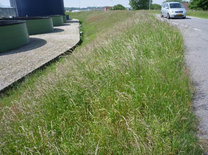 Werkwijze De percelen zijn heterogeen van karakter. Ofwel door een verloop van droog naar vochtig ofwel van betreden naar niet betreden of van in de zon tot in de schaduw.