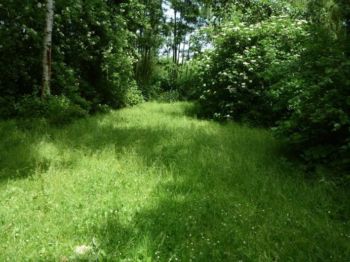 Geklepelde bermen Dorpskade, Wateringen Het steile