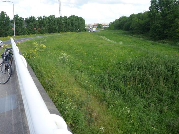 Dorppolderweg, De Lier Er zijn twee stukken