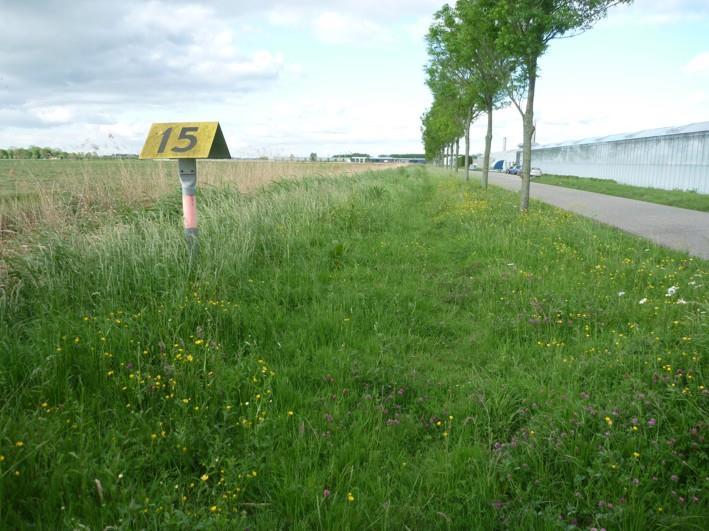 stuk onder bomen (21). C.J.