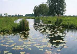 De natuurbeschermingsorganisatie is eigenaar van het grootste deel van het plassen- en moerasgebied, delen van De Haeck en de Meijegraslanden De Schraallanden langs de Meije zijn eigendom van