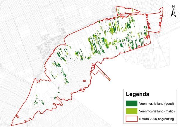 Figuur B2-112 Verspreiding van overgangs- en trilveen (veenmosrietlanden) in de huidige situatie Bron: RoyalHaskoningDHV (2013) voor stikstofdepositie wat de voedselrijkdom verhoogd Hoewel het onder