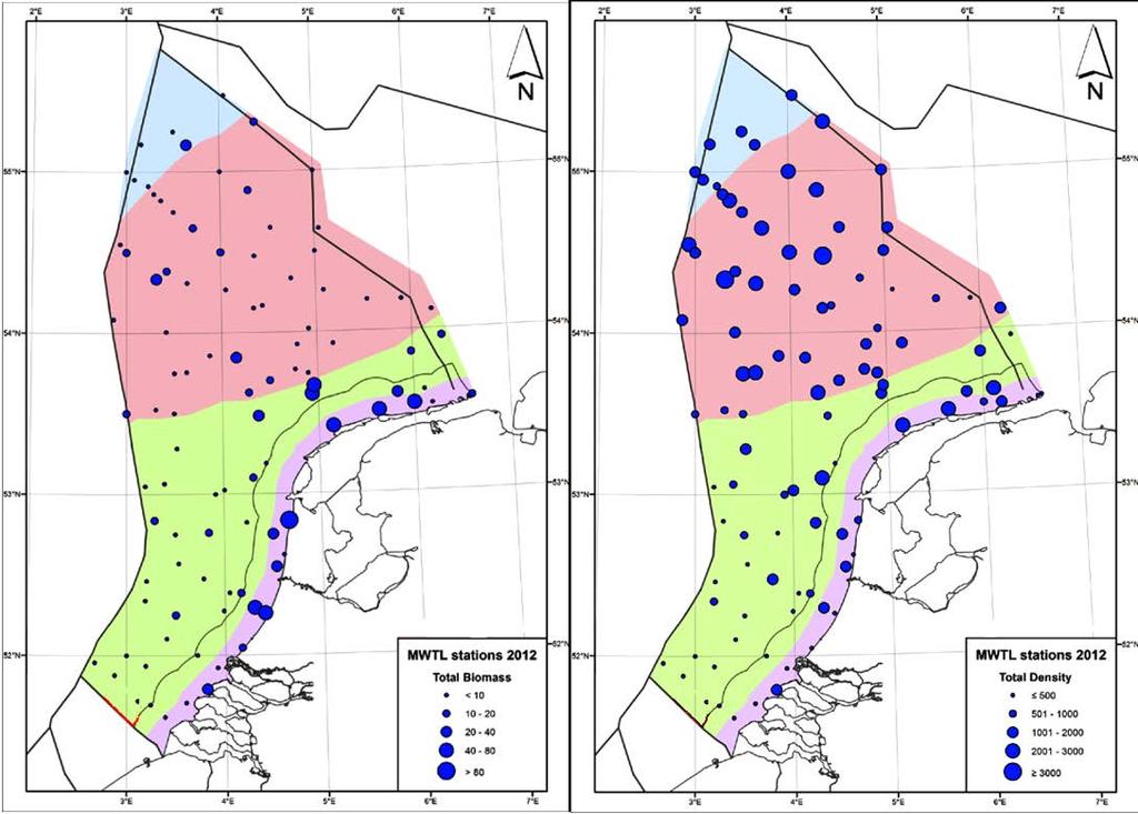 Figuur 9: Totale biomassa en dichtheid van benthos op de meetpunten van het MWTL meetnet op het NCP in 2012.