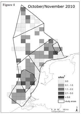 Uit luchtwaarnemingen (Witte & Van Lieshout 2003) werd afgeleid dat de zuidgrens van de zuidelijke Noordzeepopulatie van de bruinvis voor de Nederlandse kust ligt.