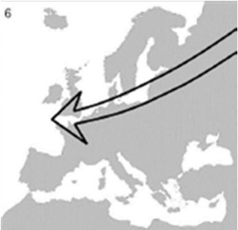 Figuur 13: De vier (relevante) trekvogelroutes over de Noordzee/Waddenzee (Lensink & Van der Winden 1997) De resultaten van het monitoringsonderzoek bij OWEZ geven een goed inzicht in