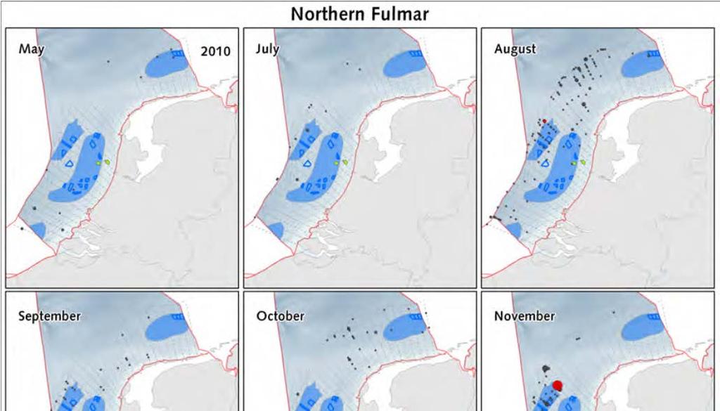 Figuur 14: Verspreiding van Noordse stormvogel, aantallen waargenomen via vliegtuig tellingen gedaan in de periode mei 2010 tot april 2011 (Poot et al.