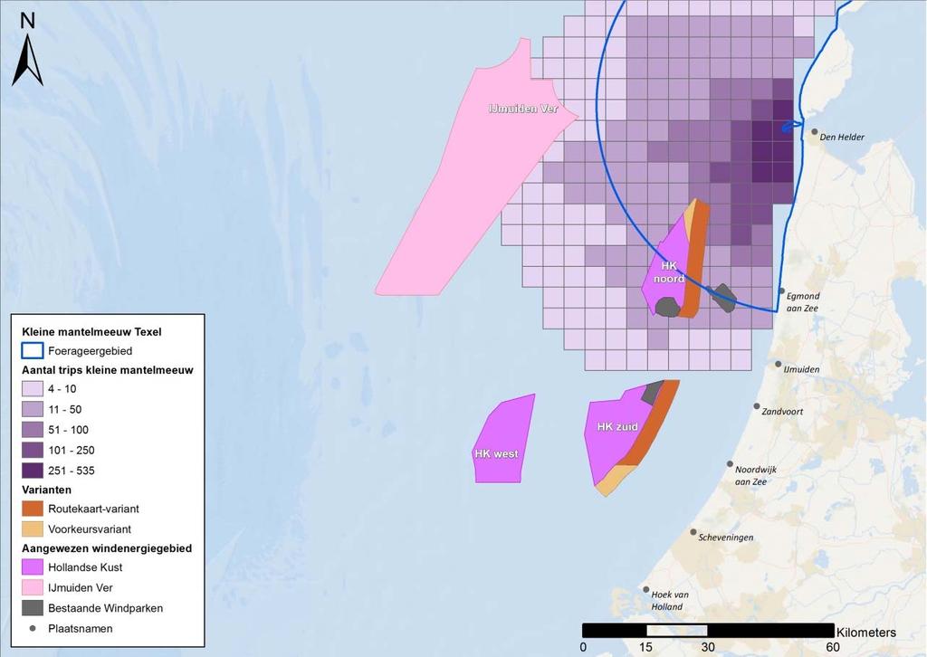 Tabel 18: Jaarlijks aantal aanvaringsslachtoffers onder kleine mantelmeeuwen afkomstig van de kolonie op Texel, let op dit zijn modeluitkomsten, de voorkeursweergave van slachtofferaantallen is in