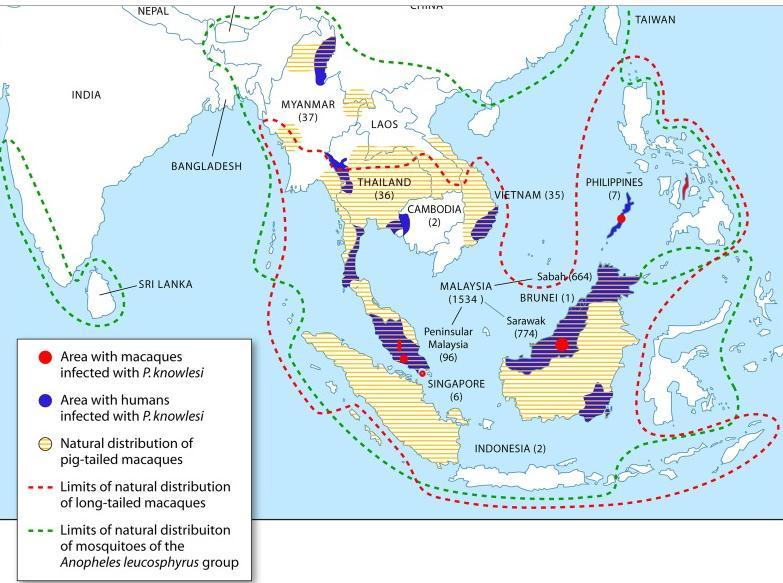 Verspreiding Source: Singh, B.