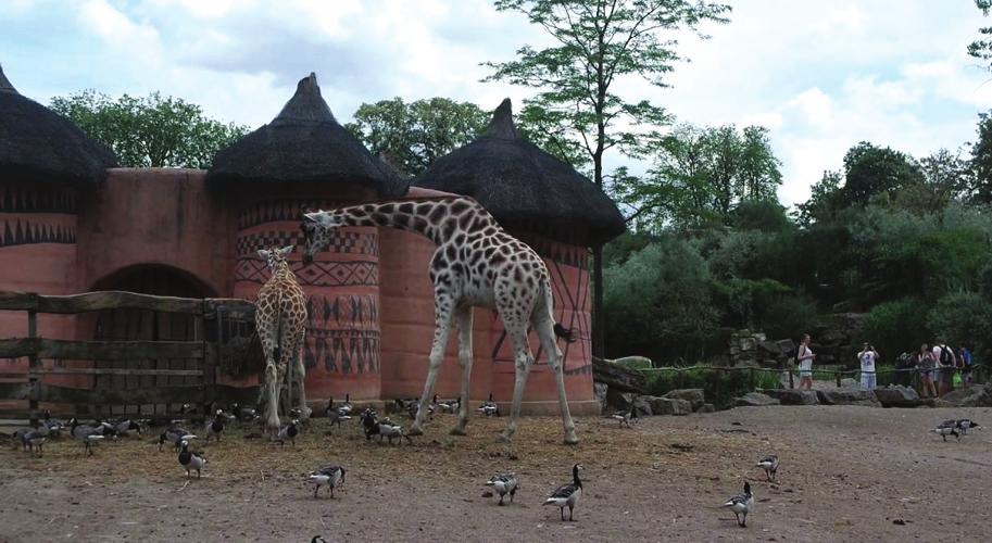 werelddelen van het mooiste park van