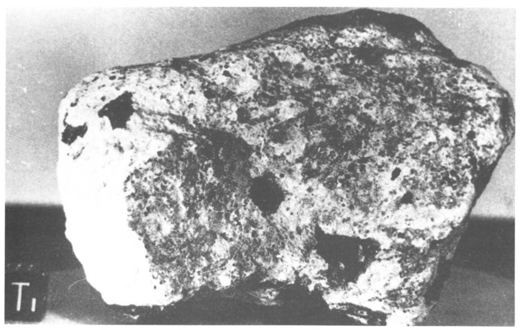 Anorthosiet is een gesteente dat in de Precambrische Schilden op Aarde voorkomt, maar