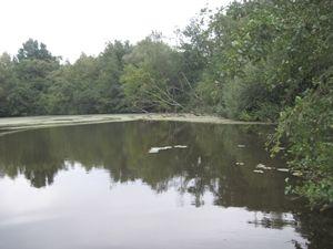 Het betreft de vijvers van Blaasveldbroek, de Kleiputten Walenhoek in Niel en het Breeven.