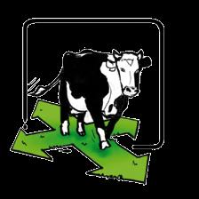 DOEN: vier omslagen Bij de vier omslagen in denken horen concrete veranderingen die nodig zijn om tot een in alle opzichten duurzame melkveehouderij te komen.