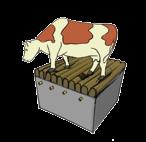 ervaren van kuddegenoten. De koe de ruimte geven kan zonder bezwaar, als we tegelijk urine en mest snel en gescheiden afvoeren. Een zandbodem is een perfecte ligplek.