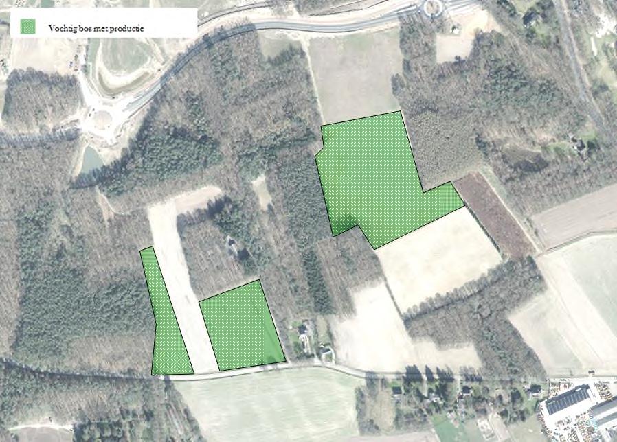 Bestemmingsplan Kempenbaan West en aansluiting A67 te Veldhoven Voor de aanleg van de bosstroken en de singels wordt een passend sortiment samengesteld waarin naast boomvormende soorten ook enkele