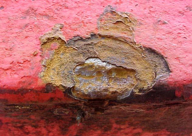 Erge corrosie wordt niet veroorzaakt door zwerfstroom die door het water loopt maar omdat het door de scheepshuid loopt.