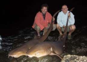 Michael kent verschillende stekken waar ook de kinderen kleine haaitjes van 50 tot 70 centimeter kunnen vangen. Of samen vanaf de boot een mooie mahi mahi vangen Hoe spannend is dat?