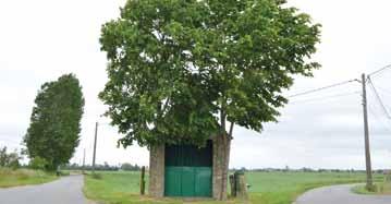 Start: Hof van Wyckhuize Sint-Rijkersstraat 19 8690 Alveringem Deelname: 2 mens en vrije tijd OP STAP MET DE KD S Donderdag 6 juli 2017 ALVERINGEM 4 KD S 10 u. - 17 u.