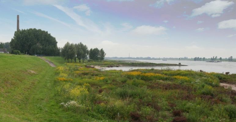 Dijkring 42 Ooij en Millingen Ligt in de provincie Gelderland 3.400 ha 3 gemeenten 17,5 km primaire waterkering (categorie A) Veiligheidsniveau: 1/1.