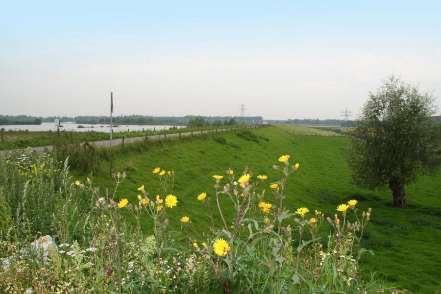 Dijkring 23 Biesbosch Ligt in de provincie Noord-Brabant 2.100 ha 1 gemeente 21 km primaire waterkering (categorie A) Veiligheidsniveau 1/2.