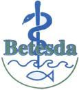 Jaarverslag 2015 Stichting Bethesda voor Peru Statutair vestigingsadres: Boslaan 25,