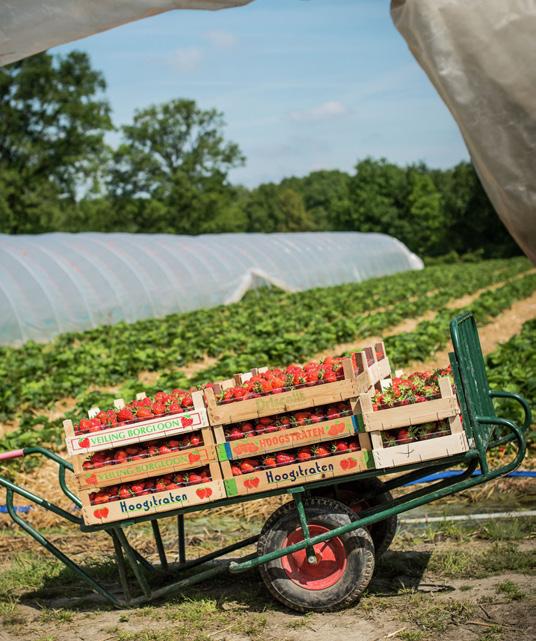 Verbrede landbouw: streekproducten Unieke overnachting Centraal onthaalpaviljoen speeltuin SPECIFIEKE PROGRAMMA S: ACTIEF BELEID Zijn er specifieke functies die ontbreken op specifieke plekken?