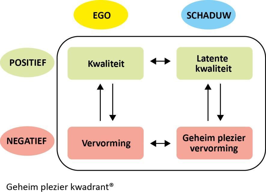 Een theoretische onderbouwing vanuit de Jungiaanse psychologie, o.a. aan de hand van het projectiemechanisme. De samenhang tussen verborgen kwaliteiten en belemmerende overtuigingen (m.b.v. het Kwaliteitenspel en het Inspiratiespel).