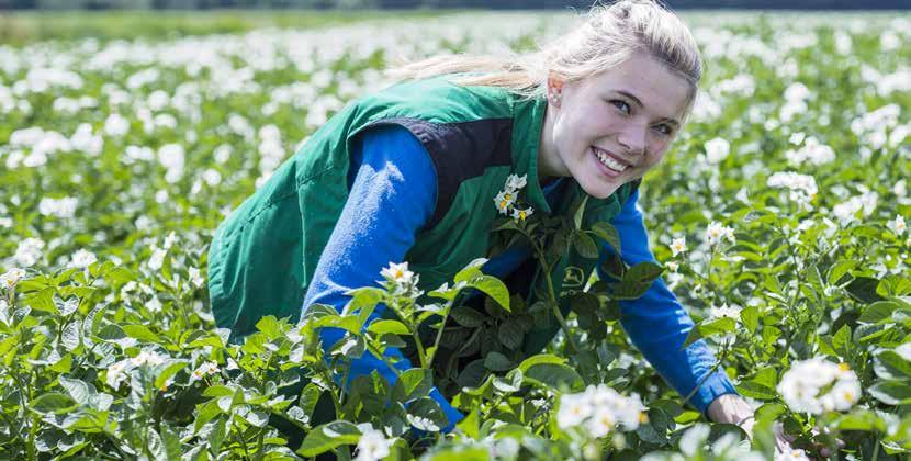 4. MEDEWERKERS 4.1 Personeel in kerncijfers MEDEWERKERS Terra heeft ongeveer 750 medewerkers, verdeeld over 500 fte.